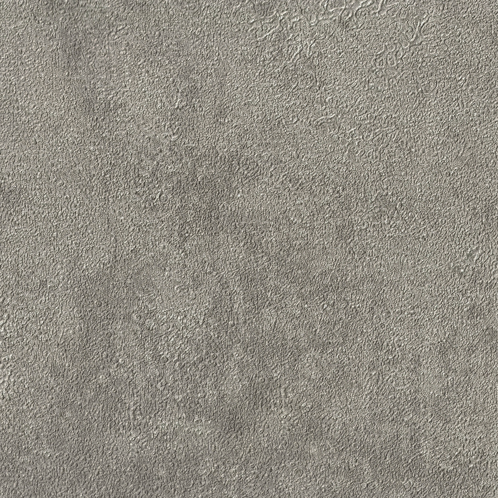 Poet Chart 6 500807